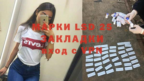 сатива Алзамай