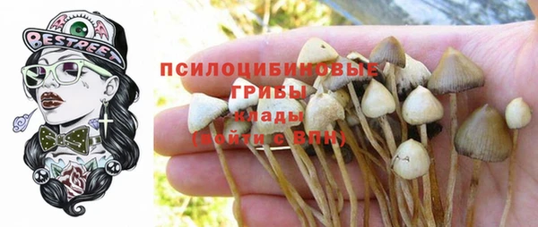 сатива Алзамай
