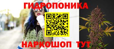 Альфа ПВП Кингисепп