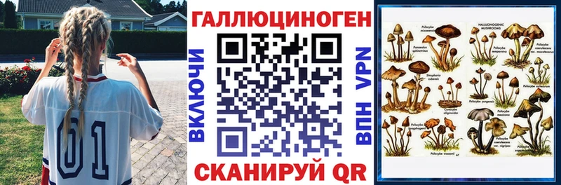 как найти   Крымск  Псилоцибиновые грибы GOLDEN TEACHER 