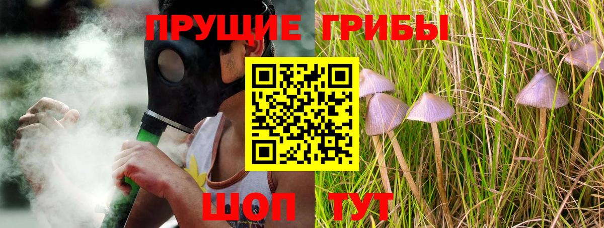 Галлюциногенные грибы ЛСД Крымск